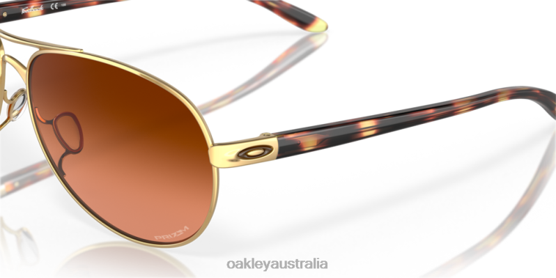 Feedback Prizm Brown Gradient Lenses, Polished Gold Frame Oakley2ZJX486